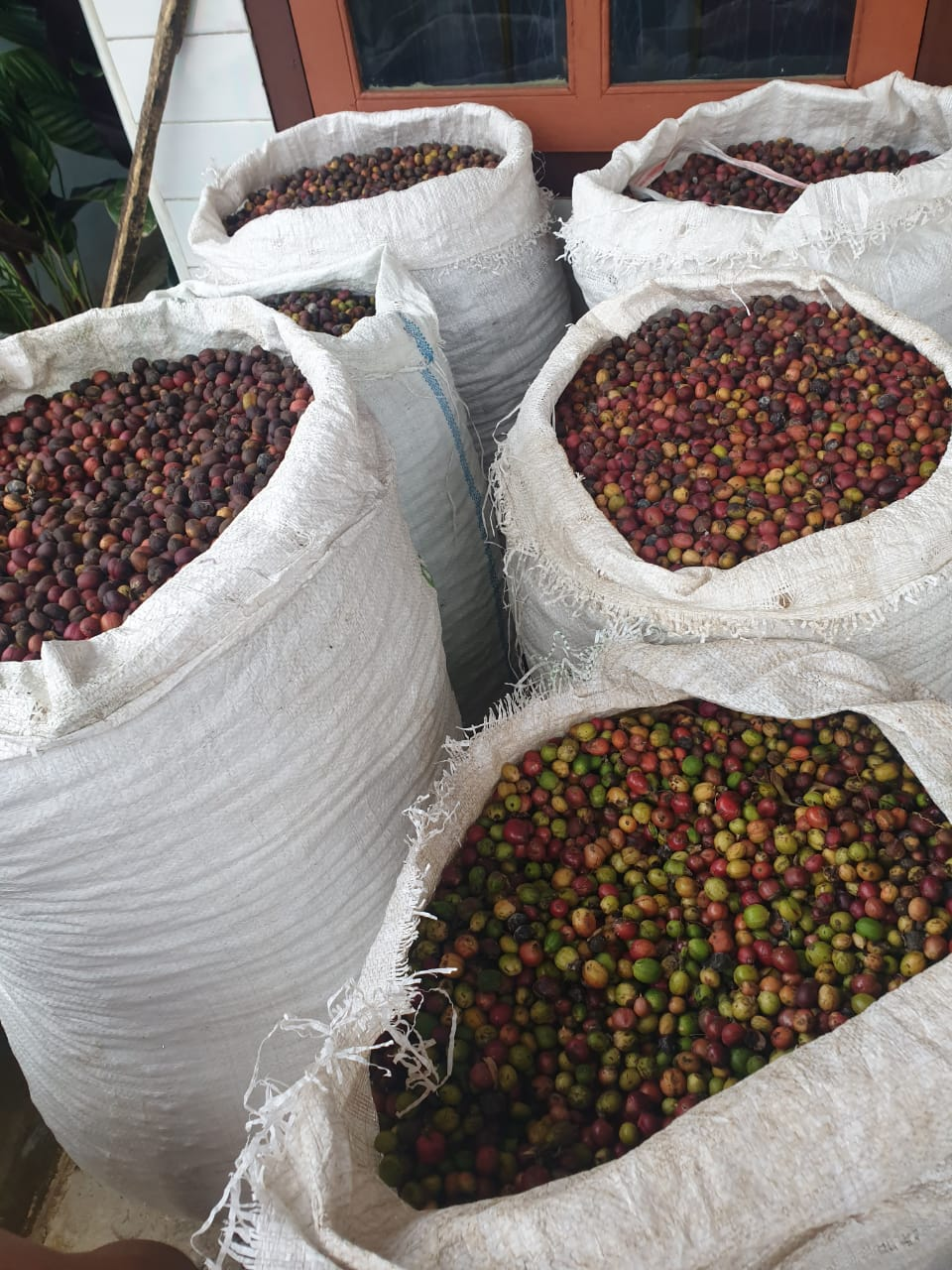 Partnering with farmers and sustainable sourcing