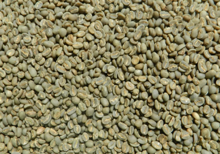 Coffee Java Kayumas