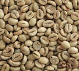 Coffee Robusta Java WIB