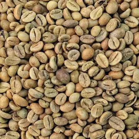 Coffee Sulawesi Toraja